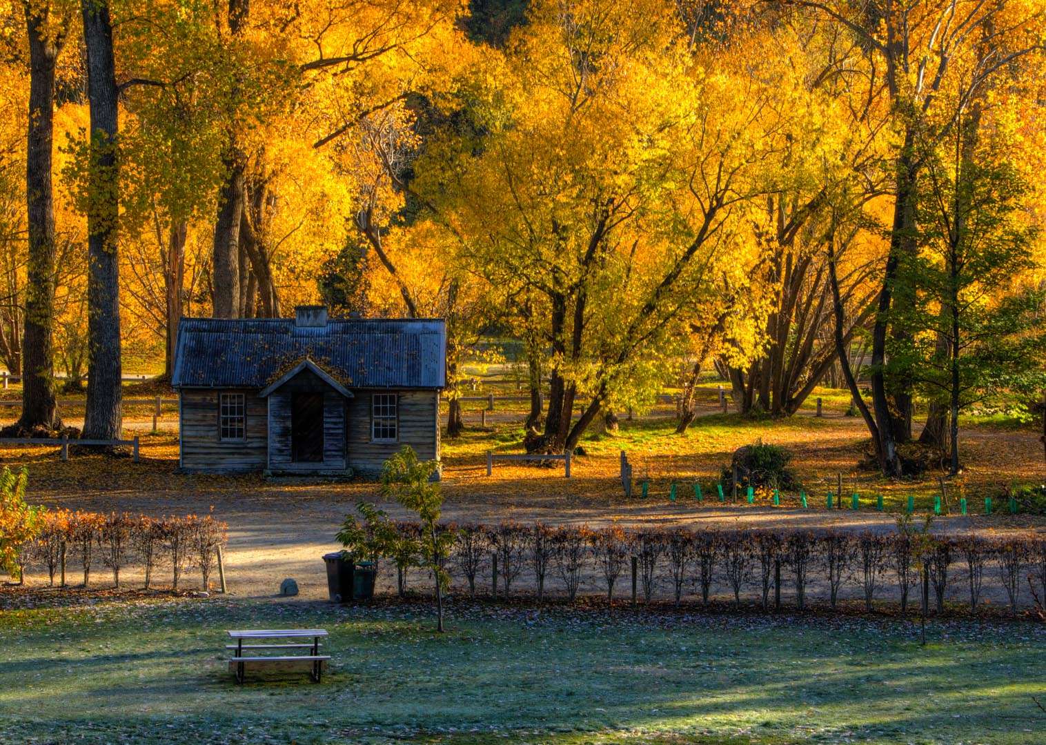 See historic Arrowtown.